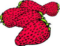 STRAWSS.WMF