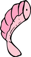 SHRIMPF.WMF