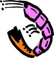 SHRIMP4.WMF