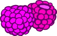 RASP2.WMF