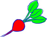 RADISH1.WMF