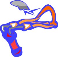 SLINSH2.WMF