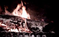 FIRE.GIF