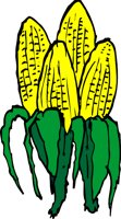 CORNJ.WMF