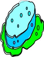 SPONGG.WMF