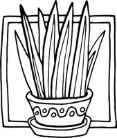 POTTEDR.WMF