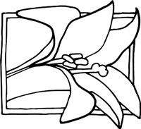 LILYR.WMF