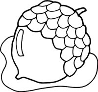 ACORNR.WMF