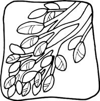 LEAVESR.WMF