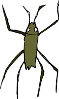 STRIDERJ.WMF