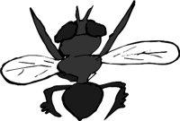 FLYJ.WMF