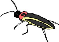 FIREFLYJ.WMF