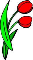TULIPL.WMF