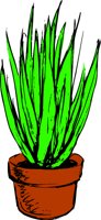 PLNTPOTS.WMF