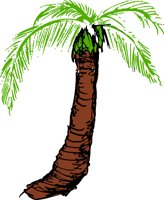 PALMTRS.WMF