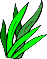 GRASSL.WMF