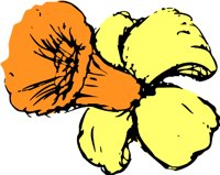 DAFODILS.WMF