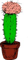 CACTUS2S.WMF