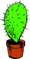 CACTUS1S.WMF