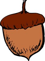 ACORNS.WMF