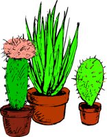 3PLANTS.WMF