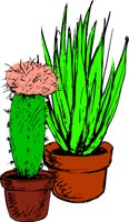 2PLANTS.WMF