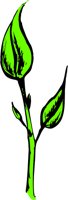 2LEAFS.WMF