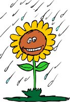 RAINFLWJ.WMF