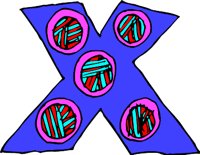 XXPOPS.WMF
