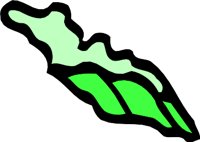 GEORGIAL.WMF