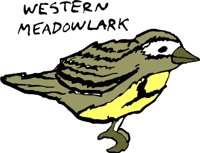 NDAKOTAJ.WMF