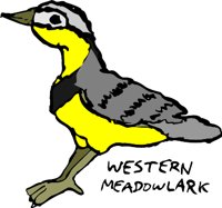 MONTANAJ.WMF