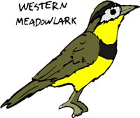 KANSASJ.WMF