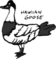 HAWAIIJ.WMF