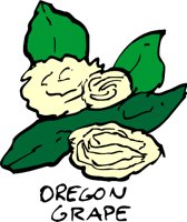 OREGONJ.WMF
