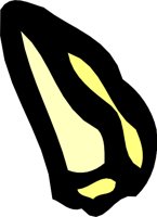DELAWARL.WMF