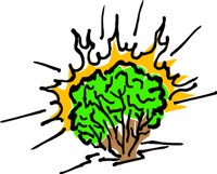BUSH1.WMF