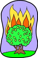 BURNINR.WMF