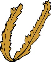 WHEATJ.WMF