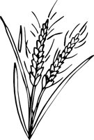 WHEAT3.WMF