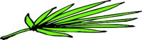 PALMS.WMF