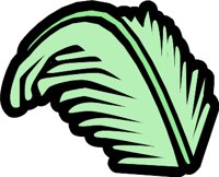 PALM4.WMF