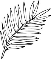 PALM3.WMF