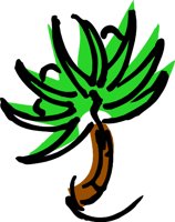 PALM1.WMF