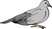 DOVEL.WMF