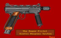 RUGER_PI.GIF