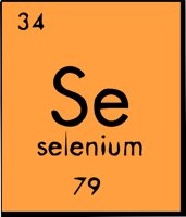 SEL.WMF