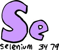 SEJ.WMF