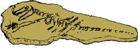FOSSILS.WMF