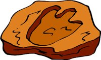 FOSSILL.WMF